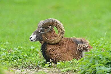 Low Roar主唱Karazija去世 曾为《死亡搁浅》配乐